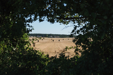 La commune de Montroy vue des champs